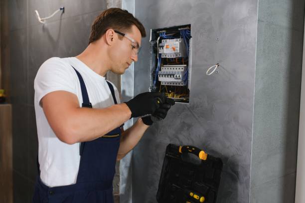 Best Affordable Electrician  in Radisson, NY